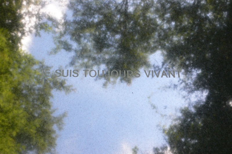 STATION Je suis toujours vivant VENT DES FORETS 01